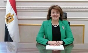 النائب أيمن محسب: البيان العربى بشأن غزة قاعدة للبناء على تحرك مصر الداعم لفلسطين