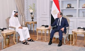 "خارجية النواب": التهجير القسري للفلسطينيين يهدف لتصفية وإنهاء القضية