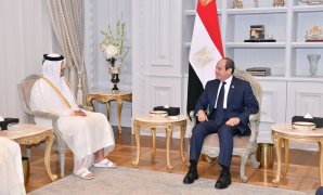 "خارجية النواب": التهجير القسري للفلسطينيين يهدف لتصفية وإنهاء القضية