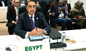 النائبة حنان وجدي: مصر صوت العقل والحكمة في المنطقة ودورها محوري في دعم غزة  
