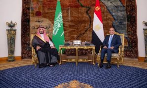 قيادى بـ"حماة الوطن: زيارة الرئيس السيسى للسعودية توحيد للصف العربى فى مواجهة التحديات