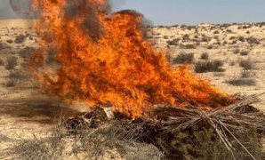 طبقًا للقانون الجديد.. هل اللجوء لقاضى الأمور الوقتية فى دعاوى الإخلاء وجوبيًا أم جوازيًا؟.. وهل اللجوء له فى جميع أسباب الإخلاء؟ ولمن يكون التظلم من الأمر الوقتى؟.. وأيهما أفضل التظلم أمام المحكمة أم القاضى؟