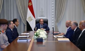 وزير الخارجية فى رسالة تحذيرية: لن نسمح بإقامة وهم "إسرائيل الكبرى"