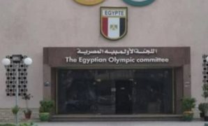 النائب عمرو هندى: اعتقال "ميدو" فى بريطانيا انتهاك صارخ للحقوق والحريات