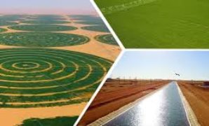 الزراعة والرى فى خطة 25/2026.. استثمارات كبرى وأهداف استراتيجية.. التخطيط: 3.7 تريليون جنيه إنتاج زراعى مستهدف خلال العام.. زيادة إنتاجية الفدان 15%.. مليون رأس جديدة ثروة حيوانية.. و144.8 مليار جنيه استثمارات