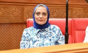 تحرك برلمانى للتخلص الآمن من المستحضرات الدوائية منتهية الصلاحية.. اعرف التفاصيل