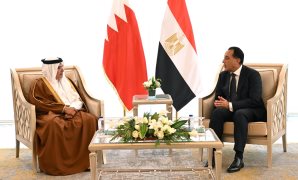 النائب جمال أبوالفتوح: برامج الدعم الغذائي تحمي 60 مليون مصري من تداعيات أزمات الغذاء العالمية
