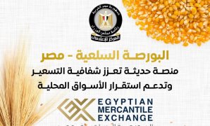 إركن عربيتك بالقانون.. كيف يتصدى قانون تنظيم انتظار المركبات للعشوائية ويحقق الانضباط في الشارع؟  وضع ضوابط صارمة لتنظيم مزاولة النشاط وتقنين وضع منادي السيارات "السايس"