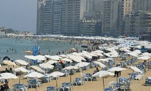 أبو العطا: كلمة الرئيس السيسي في الأكاديمية العسكرية تميزت بالمكاشفة والمصارحة