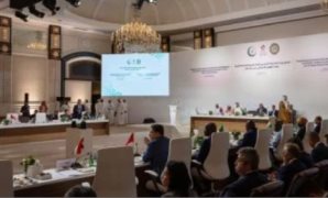 نائبة بمجلس النواب: الإساءة للرموز العربية مرفوضة وتعكس الإفلاس السياسي والأخلاقي