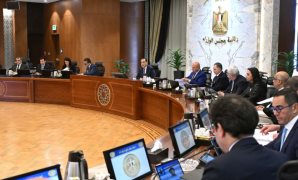 فرحات: مصر لعبت دورا محوريا فى إعادة القضية الفلسطينية إلى صدارة الأجندة الدولية