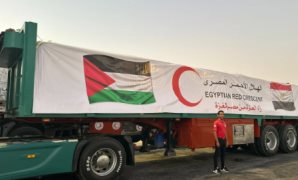 النائب عبد السلام الجبلي: ارتفاع حجم الصادرات الزراعية المصرية يؤكد القدره التنافسية في الأسواق العالمية