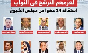 قبول استقالة 14 عضوا من مجلس الشيوخ لعزمهم الترشح لمجلس النواب.. انفوجراف