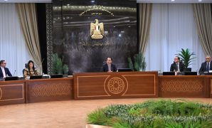 القانون يحظر استيراد أو تداول منتجات تحرض على التمييز والإخلال بالآداب العامة