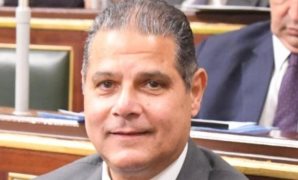 الأمين العام المساعد لحزب مستقبل وطن: مصر والسعودية صمام أمان الأمة العربية
