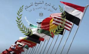 أحمد بدرة: بدء عودة النازحين إلى منازلهم وتدفق المساعدات لغزة إنجاز جديد لمصر