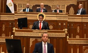 النائب إبراهيم الديب: مبادرات الرئيس وضعت الفقراء فى قلب التنمية