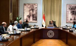 الرئيس السيسى: كل بيت مصرى فيه شهيد وجريح ودفعنا ثمن القضاء على الإرهاب