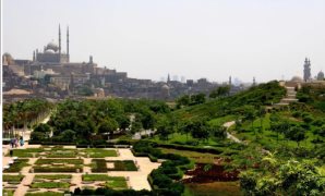 رئيس الوزراء يرأس اجتماع مجلس المحافظين