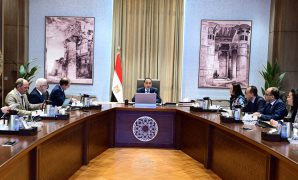 الحبس شهر وغرامة 100 ألف جنيه عقوبة تسلق الآثار