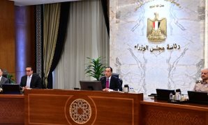 بدء اجتماع مجلس الوزراء لمتابعة الاستعدادات النهائية لافتتاح المتحف المصري الكبير  