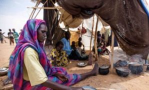 مروة بوريص: افتتاح المتحف المصرى الكبير حدث عالمى يعزز مكانة مصر السياحية والثقافية