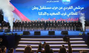 برلمانية: الإعلام الدولى أنصف مصر.. افتتاح المتحف الكبير جمع بين الحضارة والسلام