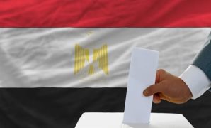 أبو زهرة: الإقبال العالمي على المتحف الكبير شهادة جديدة على تفوق الإرادة المصرية