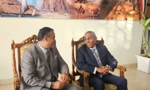 بدء تصويت المصريين فى الأرجنتين وباراجوى بانتخابات مجلس النواب 2025