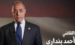 بدء تصويت المصريين فى الأرجنتين وباراجوى بانتخابات مجلس النواب 2025