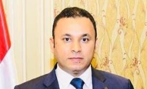 جمال الخضري: المشهد الانتخابي للمصريين بالخارج يليق بشعبٍ يدرك تمامًا قيمة صوته ودوره في رسم مستقبل وطنه