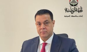 محمد أبو عوض: مشهد انتخابات مجلس النواب بالخارج مبهج ويعكس حالة وعي كبيرة