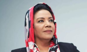 النائبة نشوى الديب 