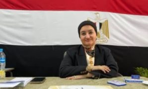 الهيئة الوطنية تعلن عودة العمل بلجان المرحلة الأولى بانتخابات مجلس النواب