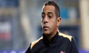 وزير الخارجية: صلابة الدولة ورؤية القيادة ووعى الشعب أسهم فى استقرار الوطن