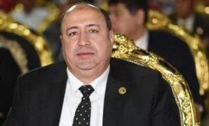 النائبة أمل عصفور : لابد من وضع حلول واضحة ومحددة زمنيًا وسيناريوهات مستقبلية حال حدوث أي عطل بسيستم المعاشات
