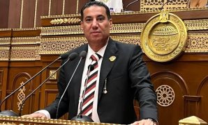 انتخابات مجلس النواب.. محكمة النقض الجهة المختصة بالفصل في صحة العضوية بعد الفوز 