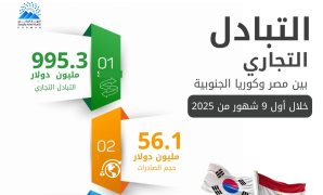 سوق الكيف الإلكتروني.. الداخلية تُسقط أكبر تشكيل يبيع المخدرات عبر تطبيقات سرية.. عصابة الكوكايين الرقمية روّجت السموم بـ متجر إلكتروني وجروبات مشفرة.. كشف إمبراطورية كيف قيمتها 21 مليون جنيه