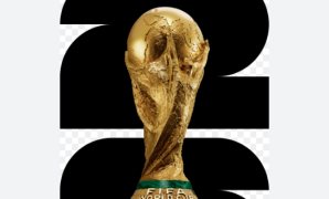 مدبولى: مصر تلعب دورا واسعا داخليا وخارجيا للتعامل مع قضايا البيئة الدولية