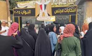 انتخابات مجلس النواب 2025.. تسهيلات ميسرة لإدلاء كبار السن وذوى الإعاقة بأصواتهم