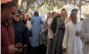 بالعزيمة والعكاز.. عجوز تتكء للتصويت بالمطرية.. والموظفون يتسابقون لمساعدتها