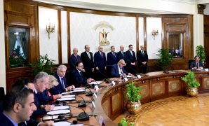 بالعزيمة والعكاز.. عجوز تتكء للتصويت بالمطرية.. والموظفون يتسابقون لمساعدتها