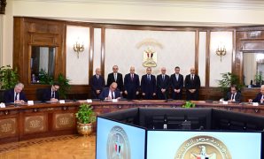 بالعزيمة والعكاز.. عجوز تتكء للتصويت بالمطرية.. والموظفون يتسابقون لمساعدتها