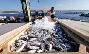 انتخابات مجلس النواب..اعرف كيفية التظلم من إجراءات الاقتراع والفرز وفقا للقانون