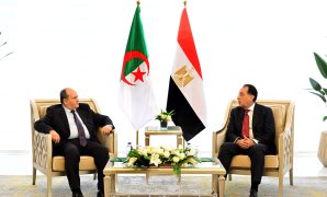 رئيس الوزراء: نجاح الجزائر نجاح لمصر.. مثلها نجاح مصر هو نجاح للجزائر