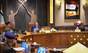 الرئيس السيسى: مصر تسعى لتحقيق الاستقرار فى كل دول المنطقة التى تواجه أزمات