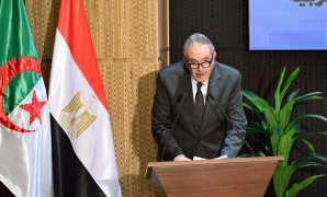 الرئيس السيسى: مصر تسعى لتحقيق الاستقرار فى كل دول المنطقة التى تواجه أزمات