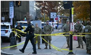 عتمان: "الدلتا الجديدة" ركيزة رئيسية لتحقيق الأمن الغذائى وتعظيم الاستفادة من الموارد المائية