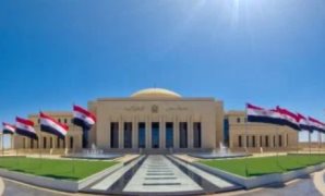 النائب محمد شعيب: حديث الرئيس السيسى يكشف رؤية شاملة للإصلاح