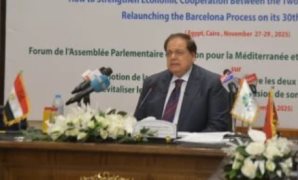 النائب محمد أبو العينين: مصر تحمل أزمات الشرق الأوسط على أكتافها